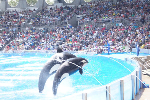 Sandugash Chitebayeva