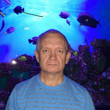 Александр Варешин