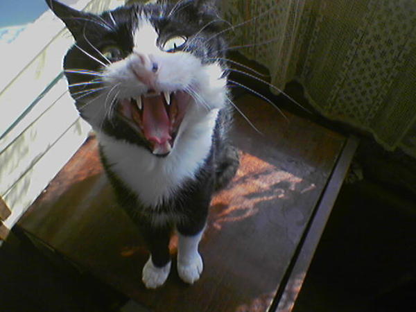 Любовь Борисовна Хацько