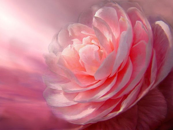 Ольга Тихонова