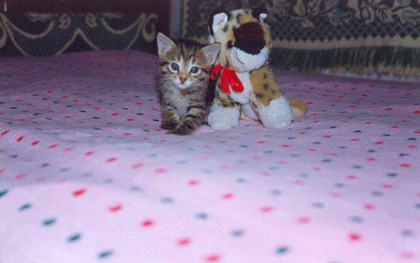 Наталья Велюго