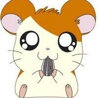 Анастасия Крылова