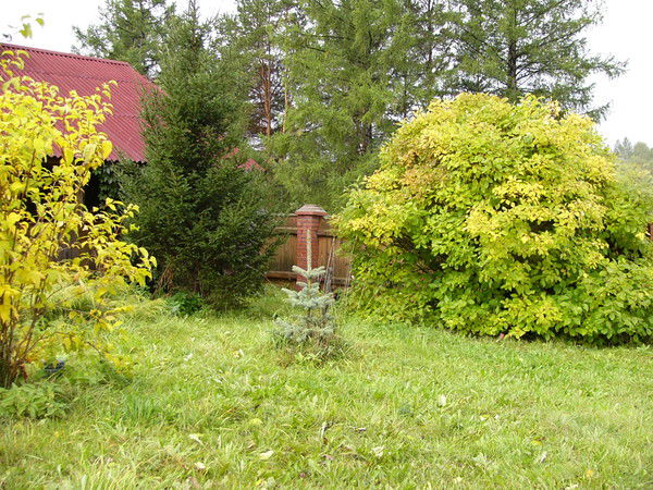 Андрей Глухов