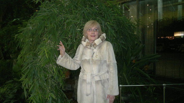 Елена Толмачева