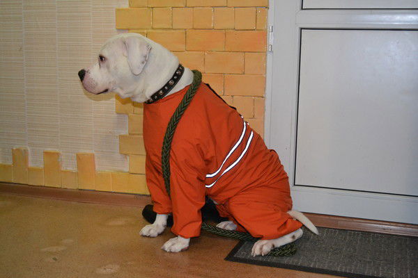 Савельева Наталья