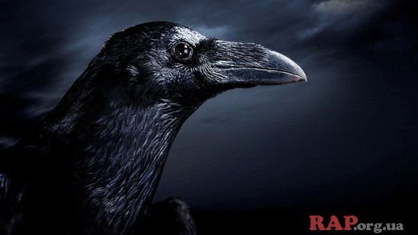 Назар Гаврих