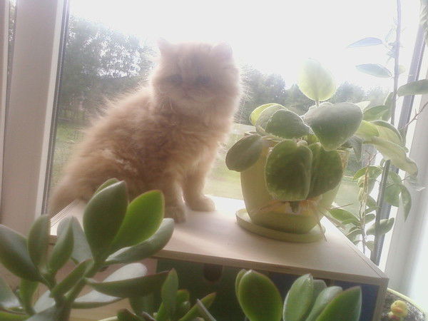 Татьяна Гусева