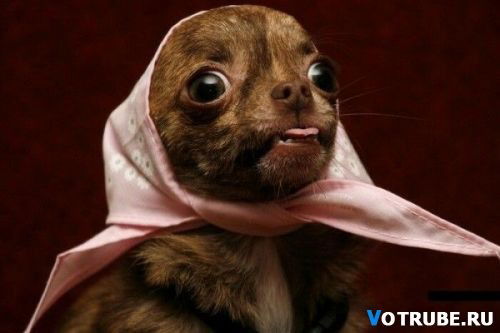 Анатолий Баландин