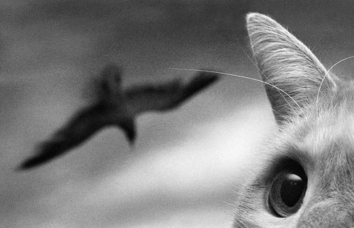 Арина Фролова