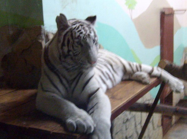 Алексей Крюков