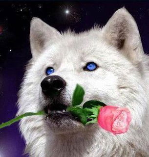 Кристина Степановна Шипулина