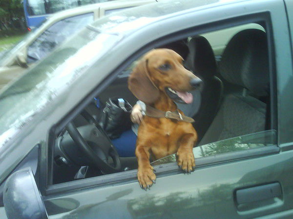 Евгений Баксович