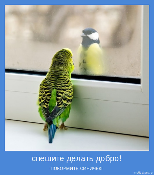 Людмила Федорова