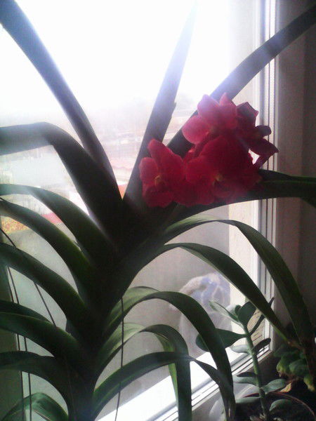 Татьяна Юханова