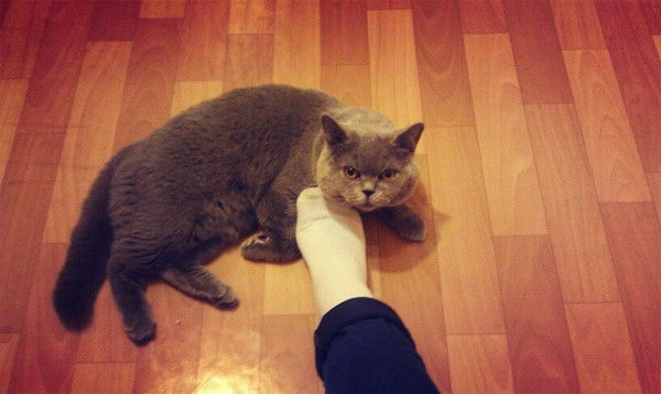 ???°?????? ?????°???????°