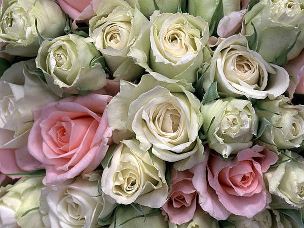 Даша Новожилова