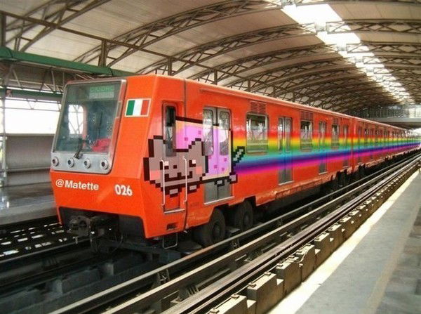 Полина Дергунова