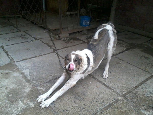 ***красавчик*** ***красавчик***