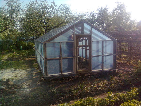 Александр Попов