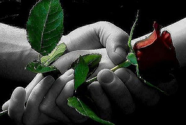 Елена Разнатовская