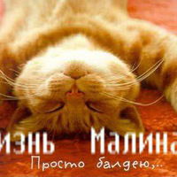 Соня Калашникова