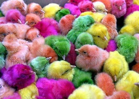 Тилектеш Бегалиев