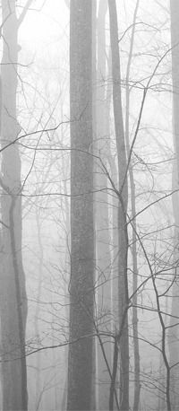 Никита Рекин