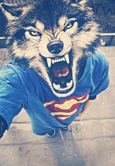 Ильнара Верник