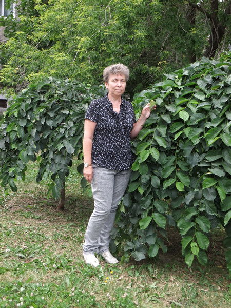 Людмила Парфенова