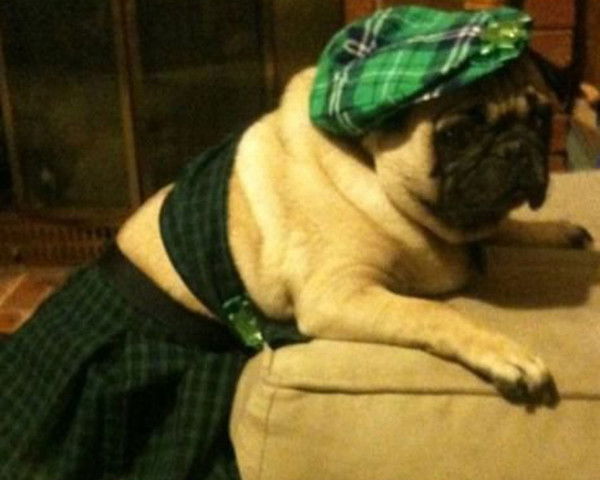 Александр Жлудько