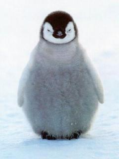 Валерий Заикин