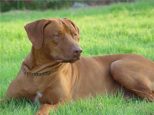 Геннадий Тестов