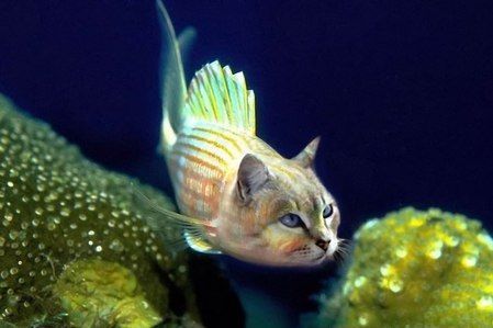 Владислав Стрельцов