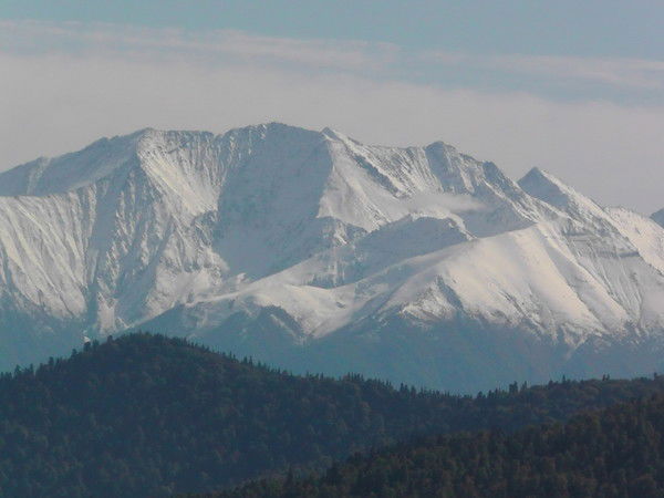 Сергей Соколов