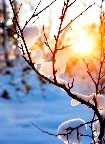 Анна Карпова