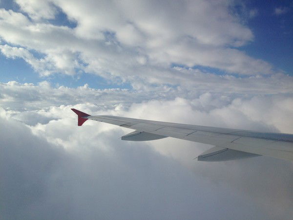 Дмитрий Волков