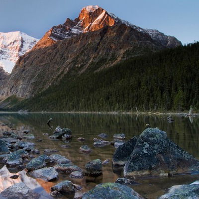 Алексей Колесников