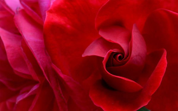 ??????????? ???????????????