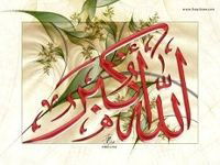 *очаровательная Девушка