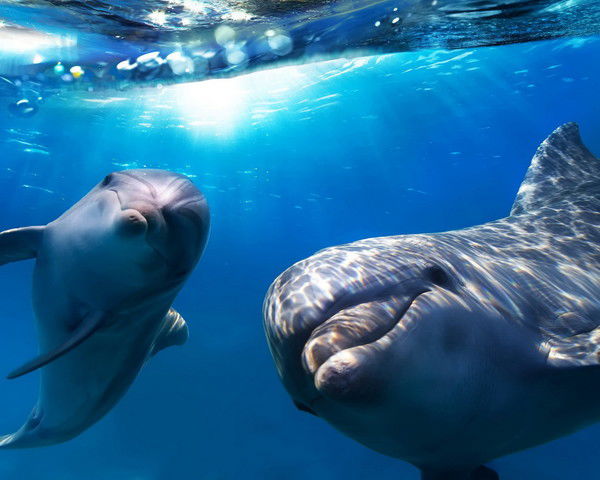 Наталья Галилеева