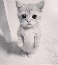 Оксанка Пасечная