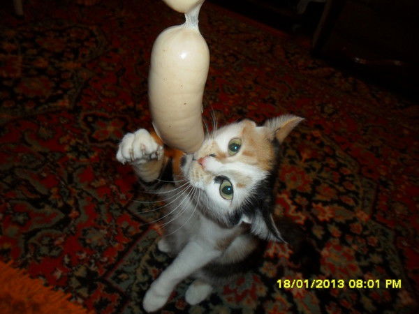 Наталья Бубнова