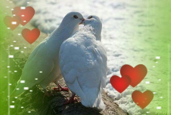 Гульниса Жумагулова