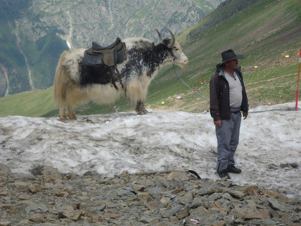 Валентина Валентина