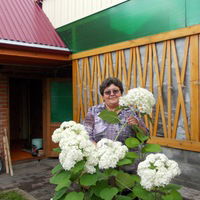 Наталья Копарова