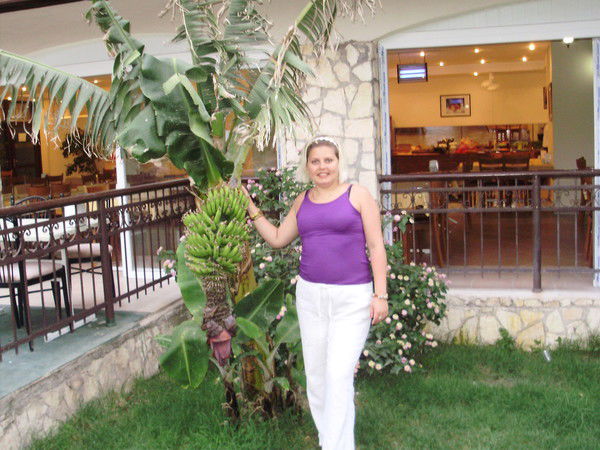 Алена Масальских (Пон)