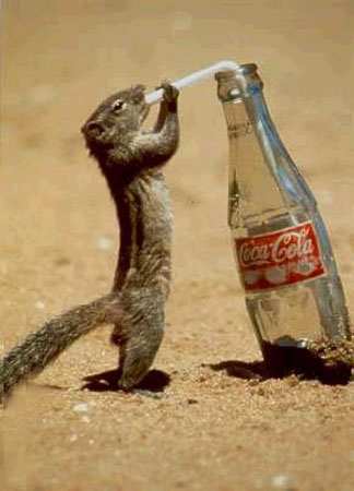 Алексей Иванов