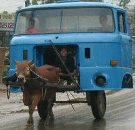 Денис Гладуш