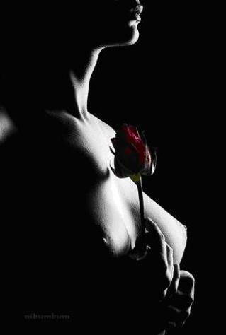 Ольга Штенгауэр