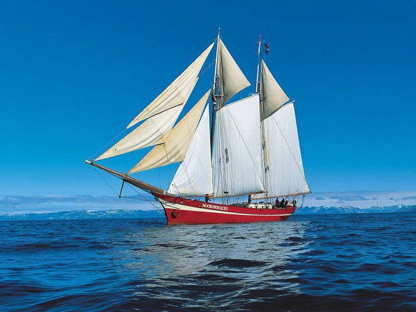 Максим Салимов